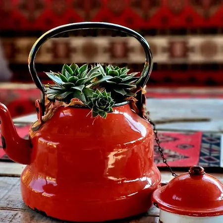 Brvnara Anamarija Casa de Férias Manastir